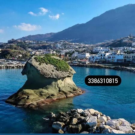 Zaras 11 Daire Lacco Ameno  Dış mekan fotoğraf