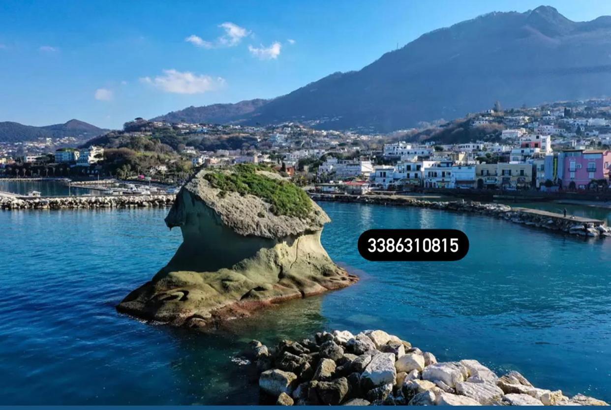 Zaras 11 Daire Lacco Ameno  Dış mekan fotoğraf